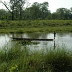 chitwan
