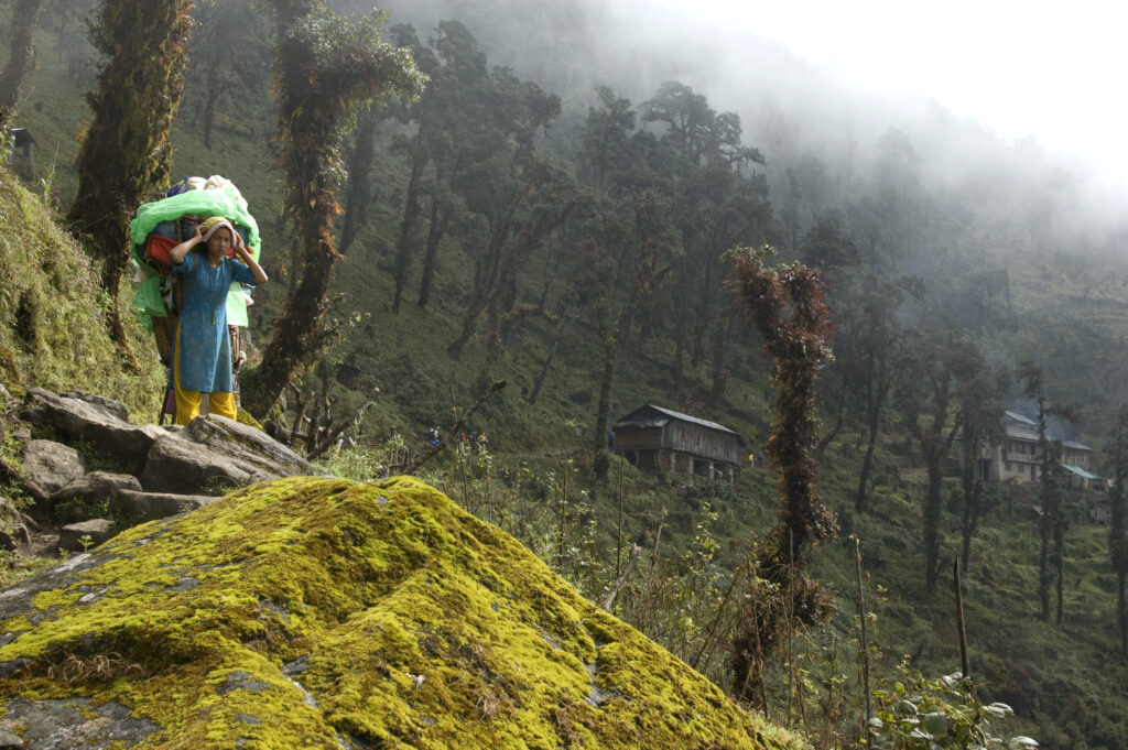 Mera Peak National Park