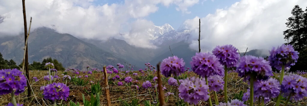 Solu Nepal
