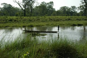 chitwan