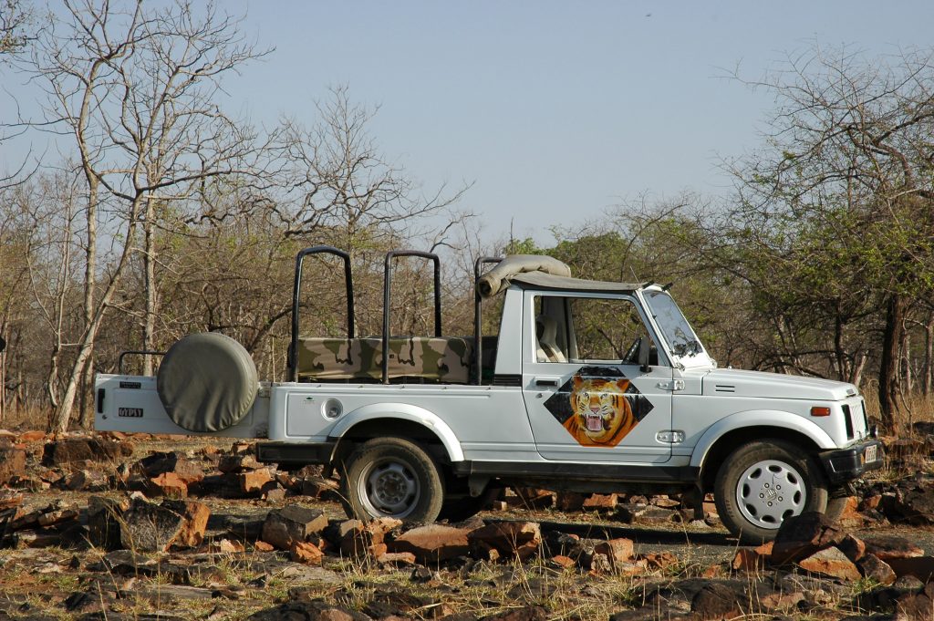 Chitwan jeep