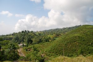 Ilam temarker